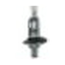 KO13258PR bulb