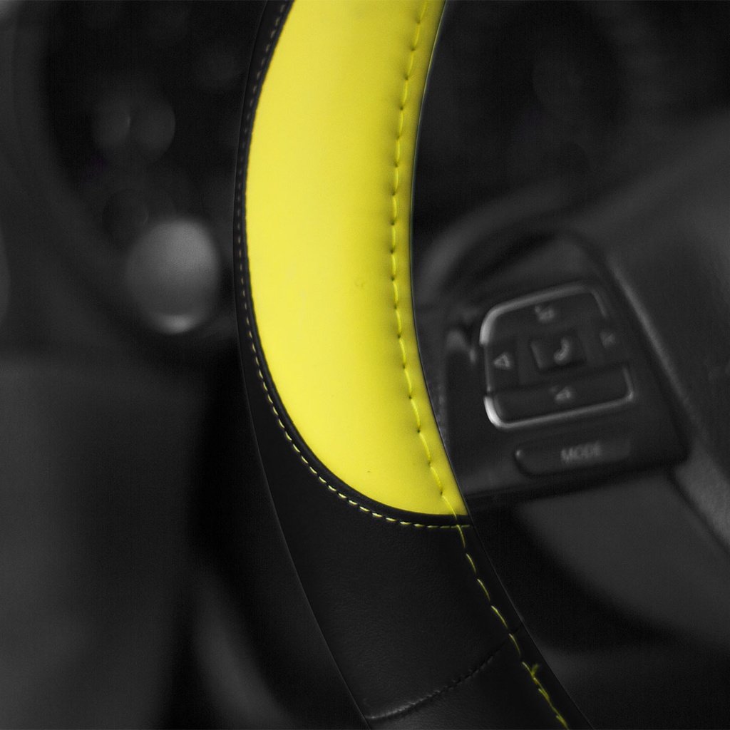CV029 #2